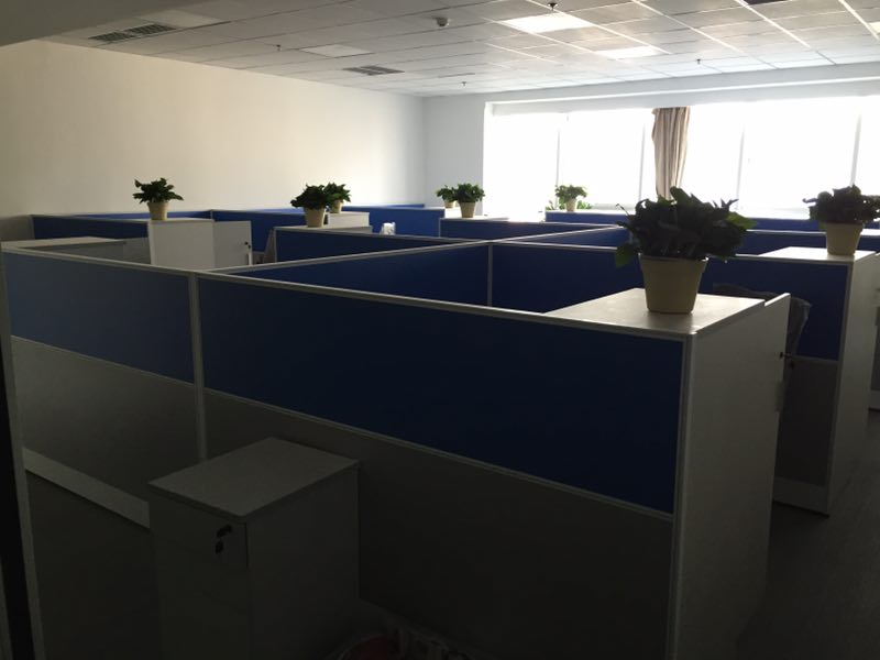 s{(ln)ɫL(fng)k2017¿